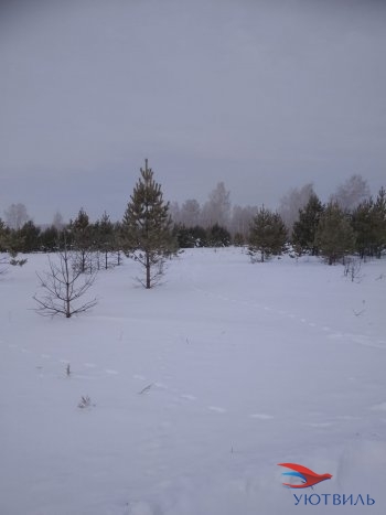 Земельный участок поселок Баженово в Крымске - krymsk.yutvil.ru - фото 5