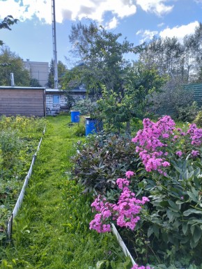 Коллективный сад номер 7, участок 58 в Крымске - krymsk.yutvil.ru - фото 23