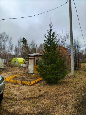 СНТ Родники в Крымске - krymsk.yutvil.ru - фото 5