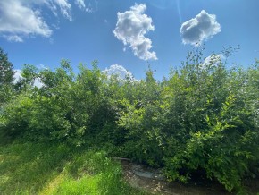СПК Юбилейный, уч. 9 в Крымске - krymsk.yutvil.ru - фото 15