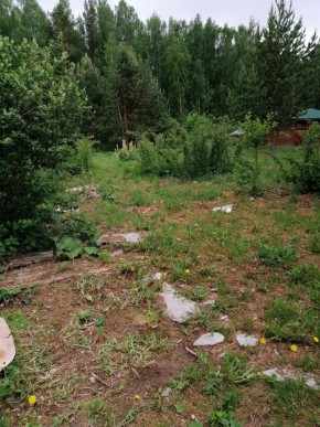 СТН Семья №112, Верхняя пышма на землях бывшего подсобного хозяйтва верхнепышминского опытного завода в Крымске - krymsk.yutvil.ru - фото 17 СТН Семья №112, Верхняя пышма на землях бывшего подсобного хозяйтва верхнепышминского опытного завода в Крымске - krymsk.yutvil.ru - фото 17